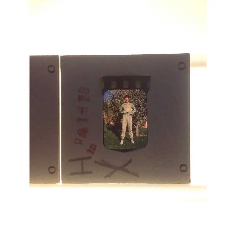 Lot 2 Vtg 40s Kodachrome Italia Polo Young Man by Tree Photograph Color Slides